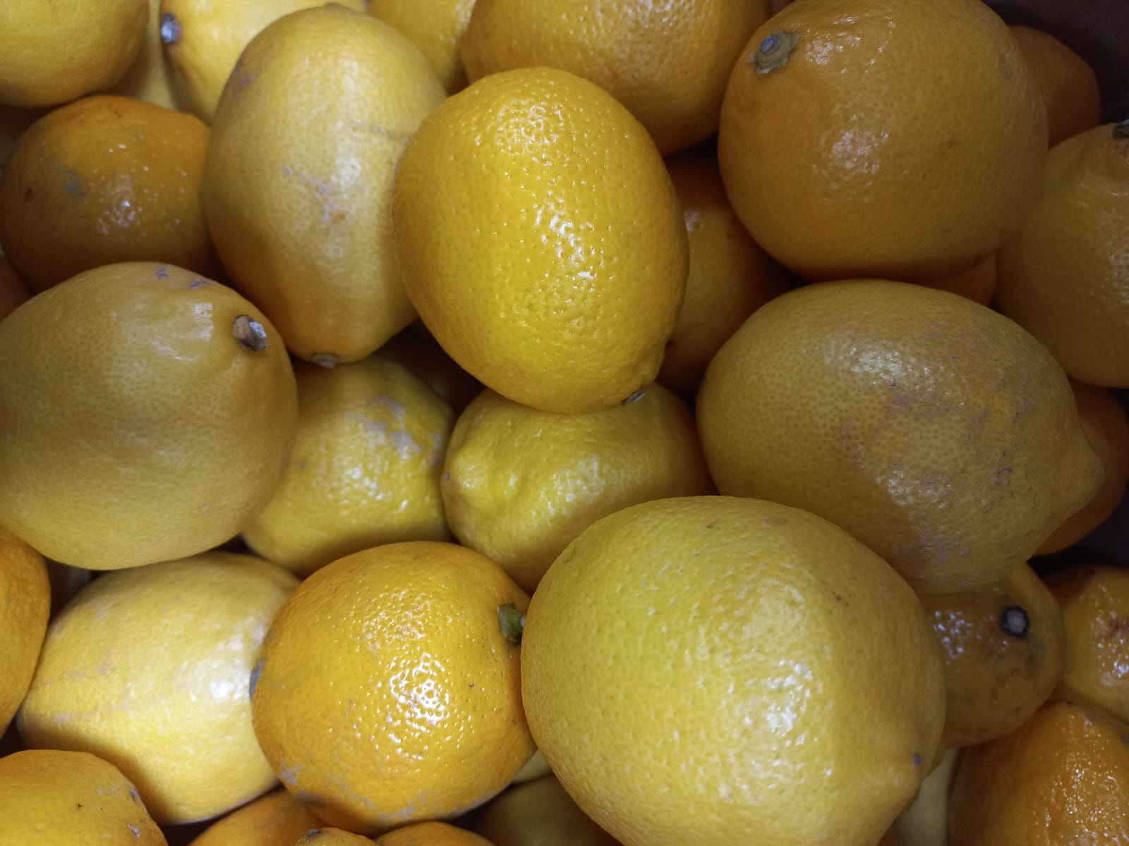 Лимоны 1 кг.
