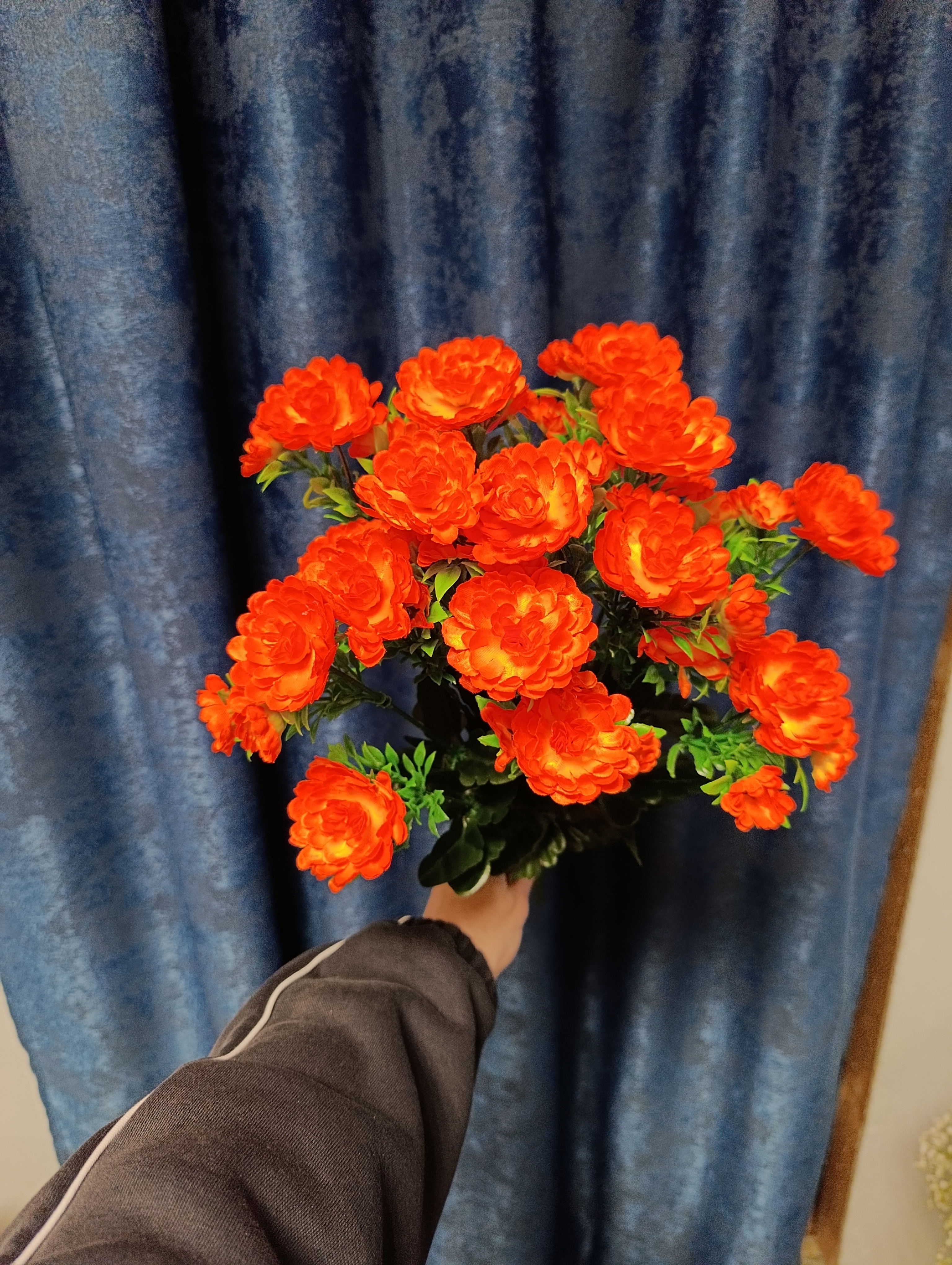 Гвоздика