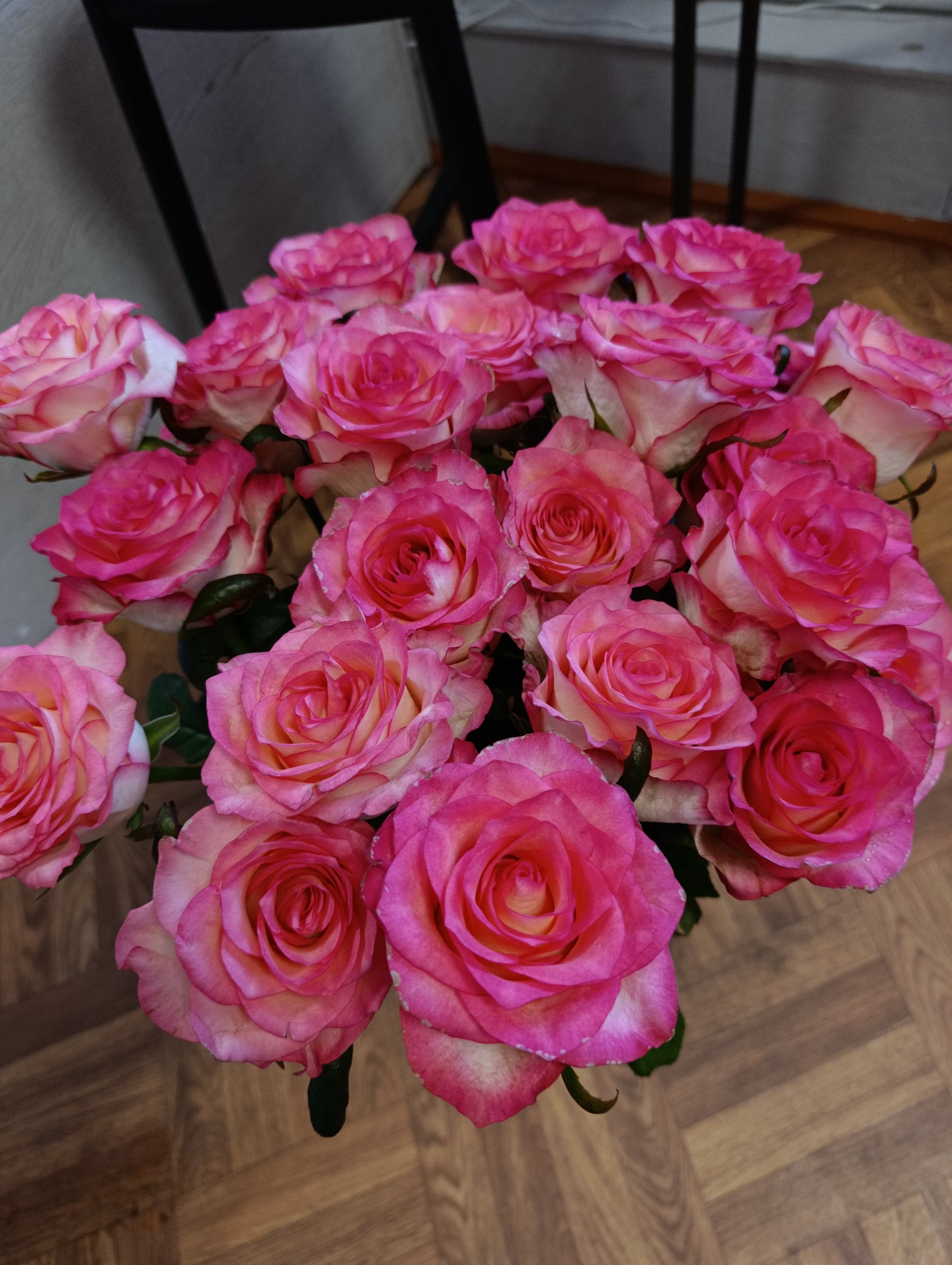 Роза Джумилия