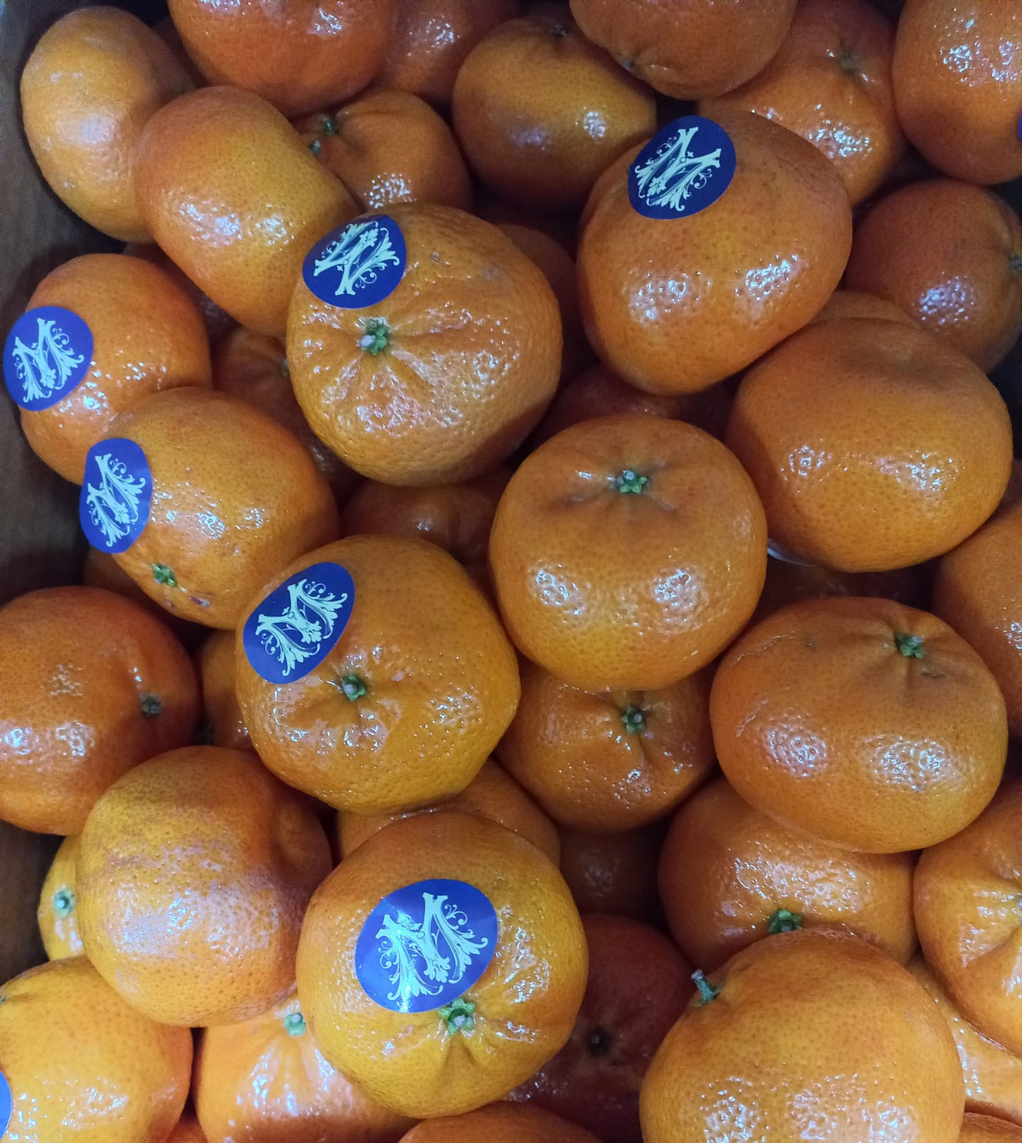 Мандарины 1 кг.