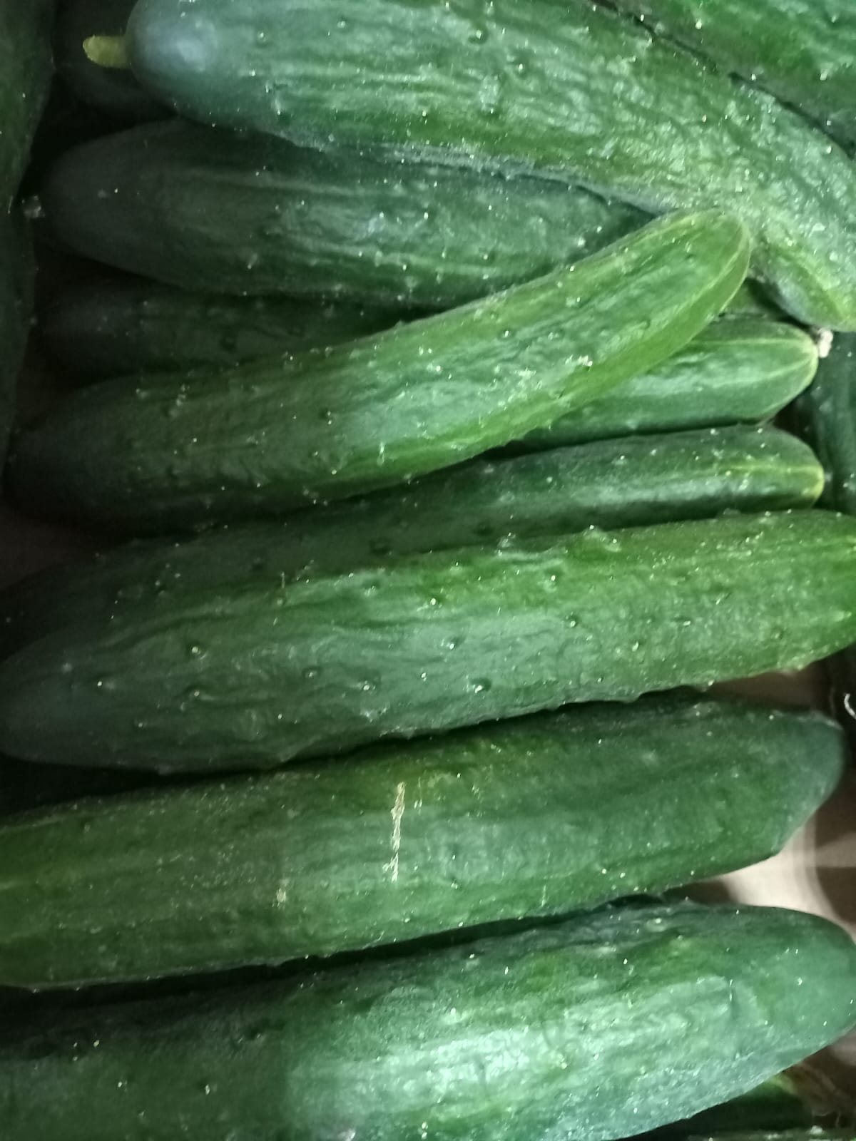 Огурцы Майские 1 кг