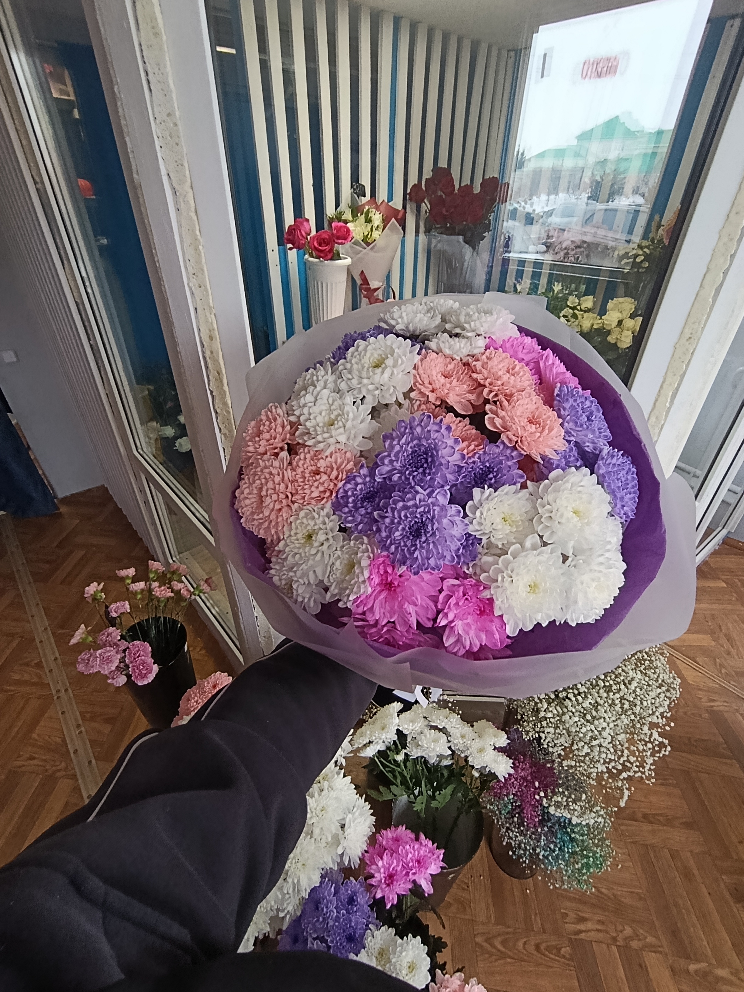 Цветные хризантемы