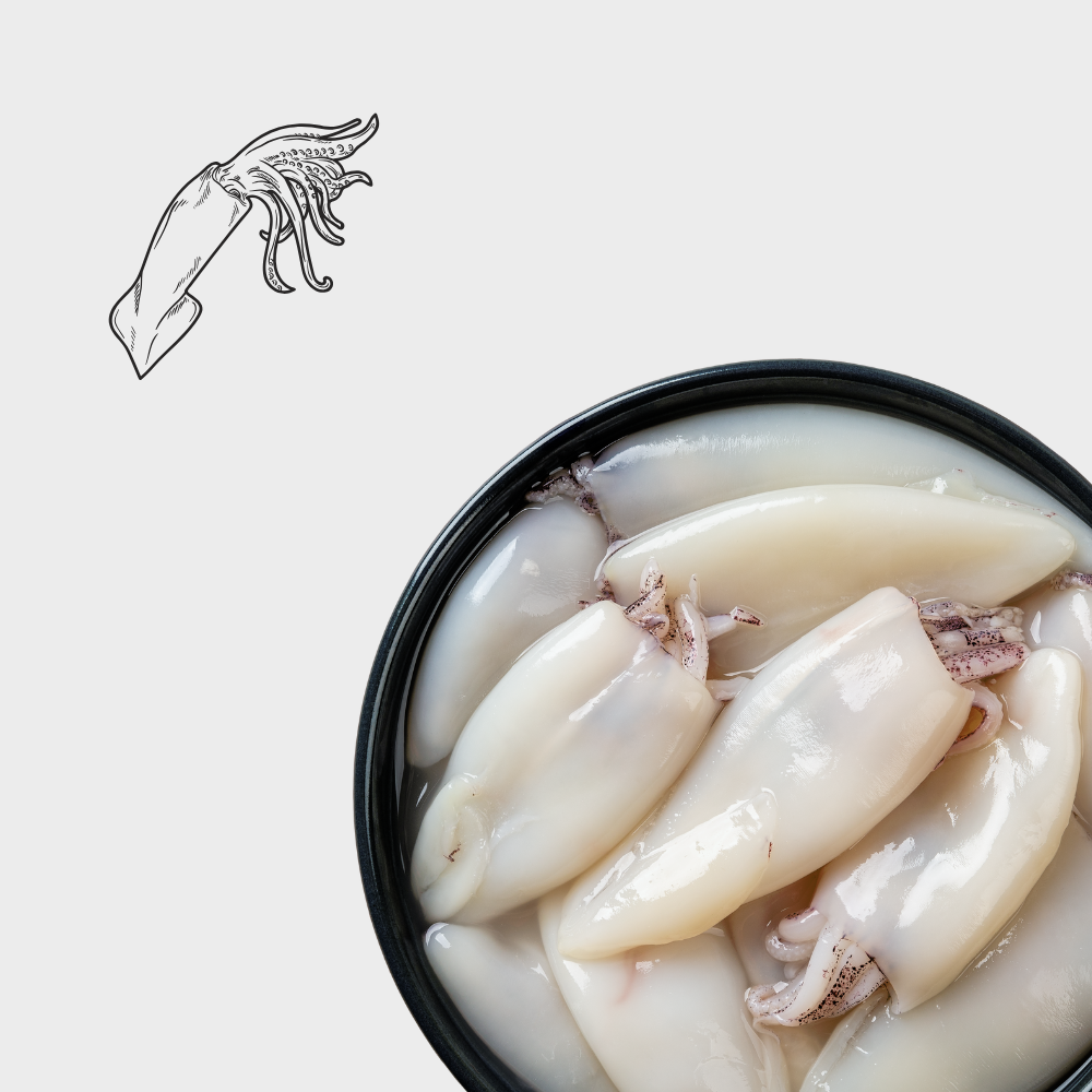 Кальмары