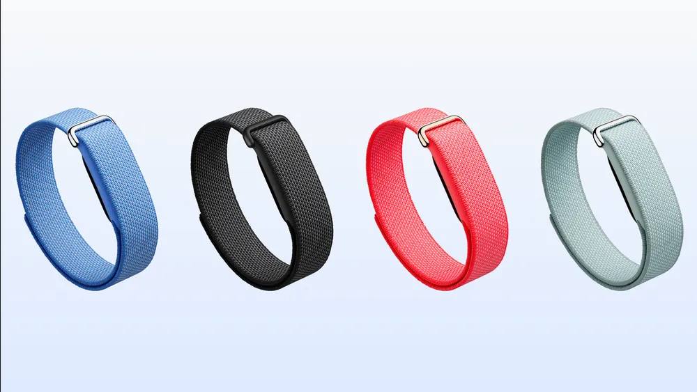 Google Fitbit Air  (ТехСтор)