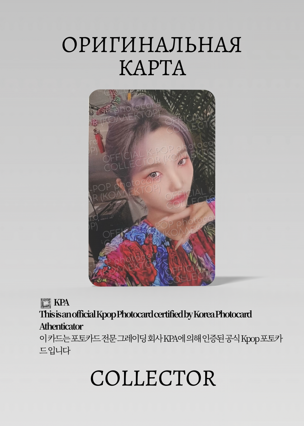 БОМГЮША ЗАЙКА