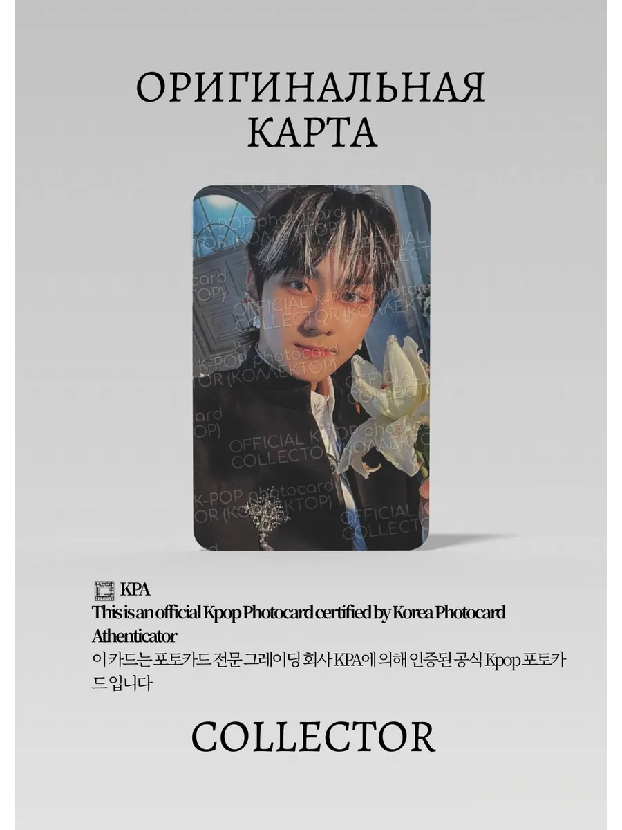 Чонвон ENHYPEN DARK BLOOD | Альбомная Официальная K-pop фотокарта (CA/EN/DB/FA/06)