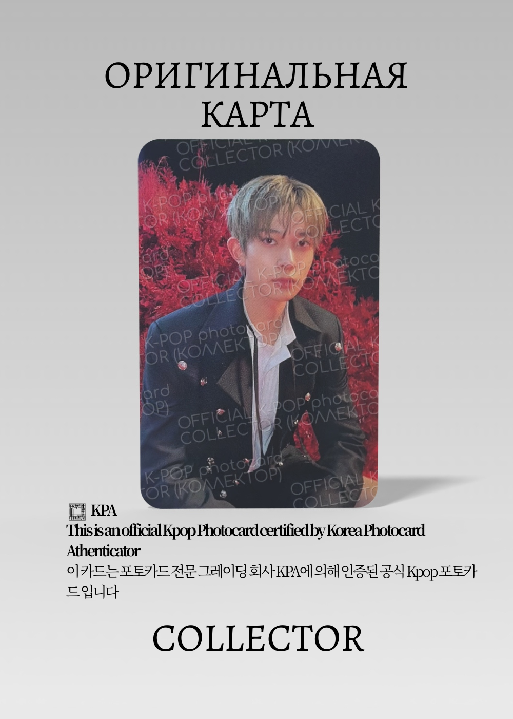 Хисын ENHYPEN DARK BLOOD | Альбомная Официальная K-pop фотокарта (CA/EN/DB/NB/01)