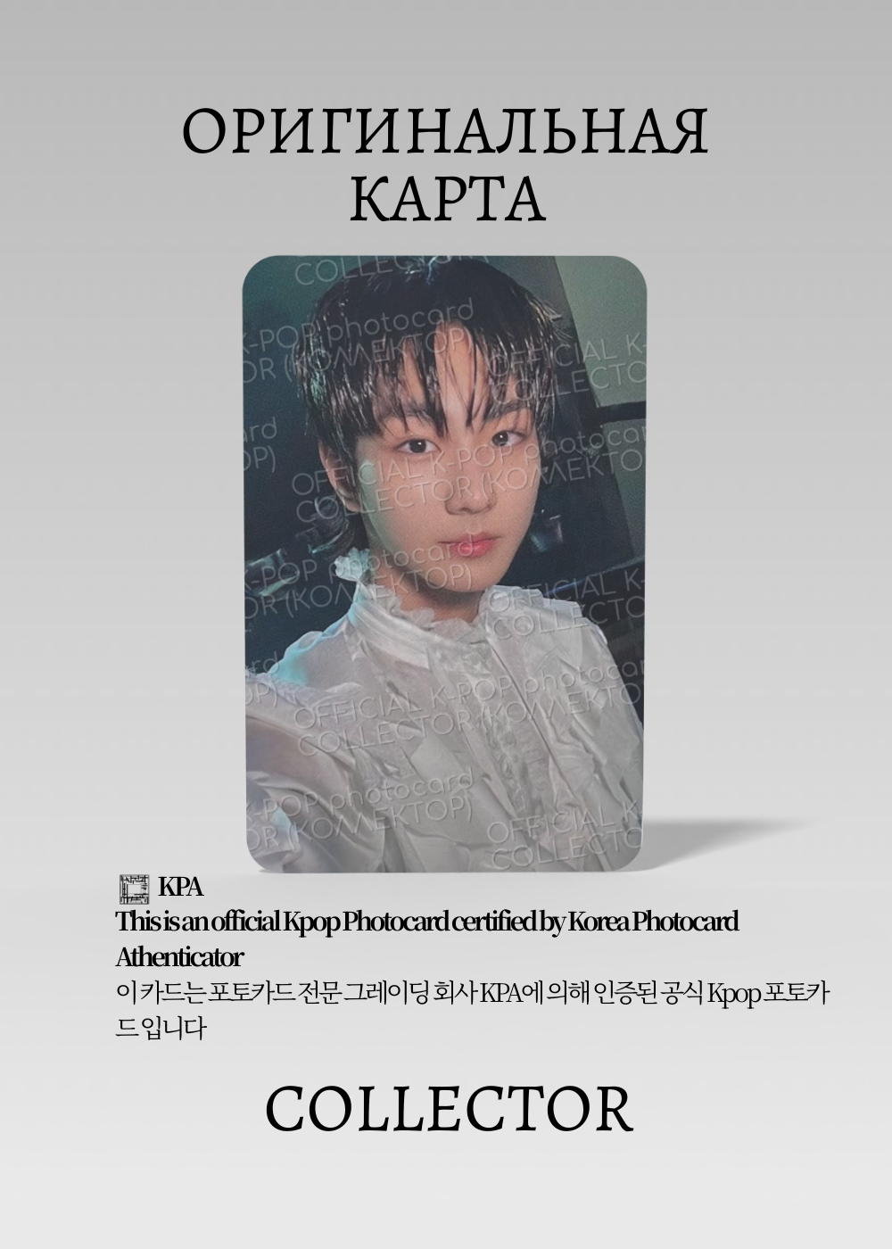 Чонвон ENHYPEN DARK BLOOD | Альбомная Официальная K-pop фотокарта (CA/EN/DB/HA/06)