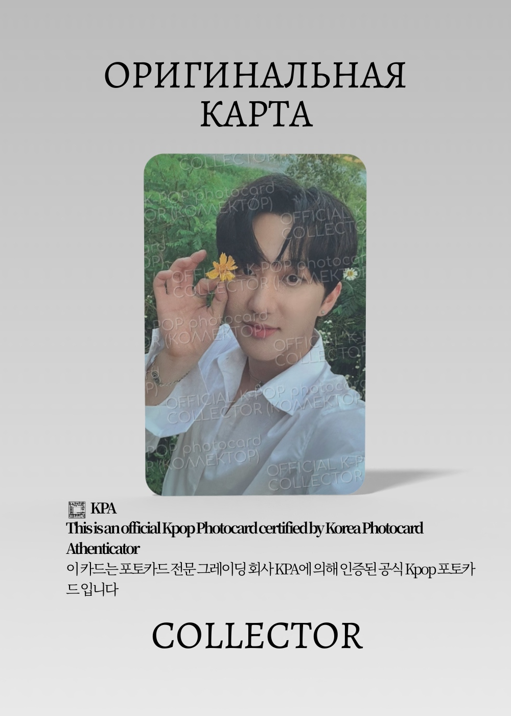 ОФИЦИАЛЬНАЯ K-pop карта Чанбин SKZ NOEASY (Альбомная) (белый)