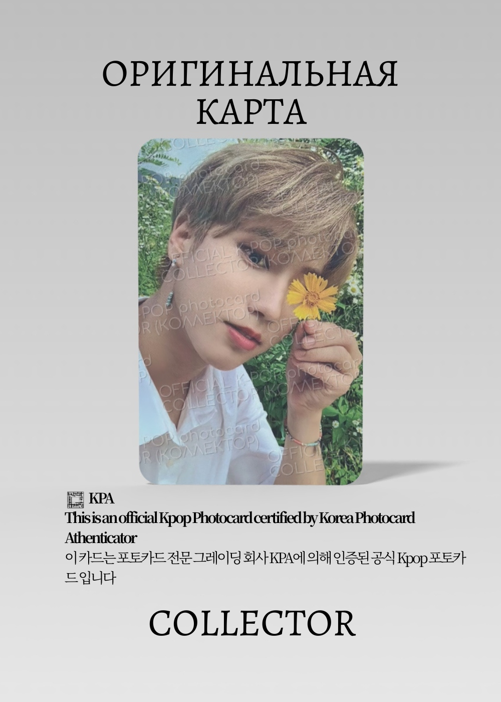 ОФИЦИАЛЬНАЯ K-pop карта Хан SKZ NOEASY (Альбомная) (белый)