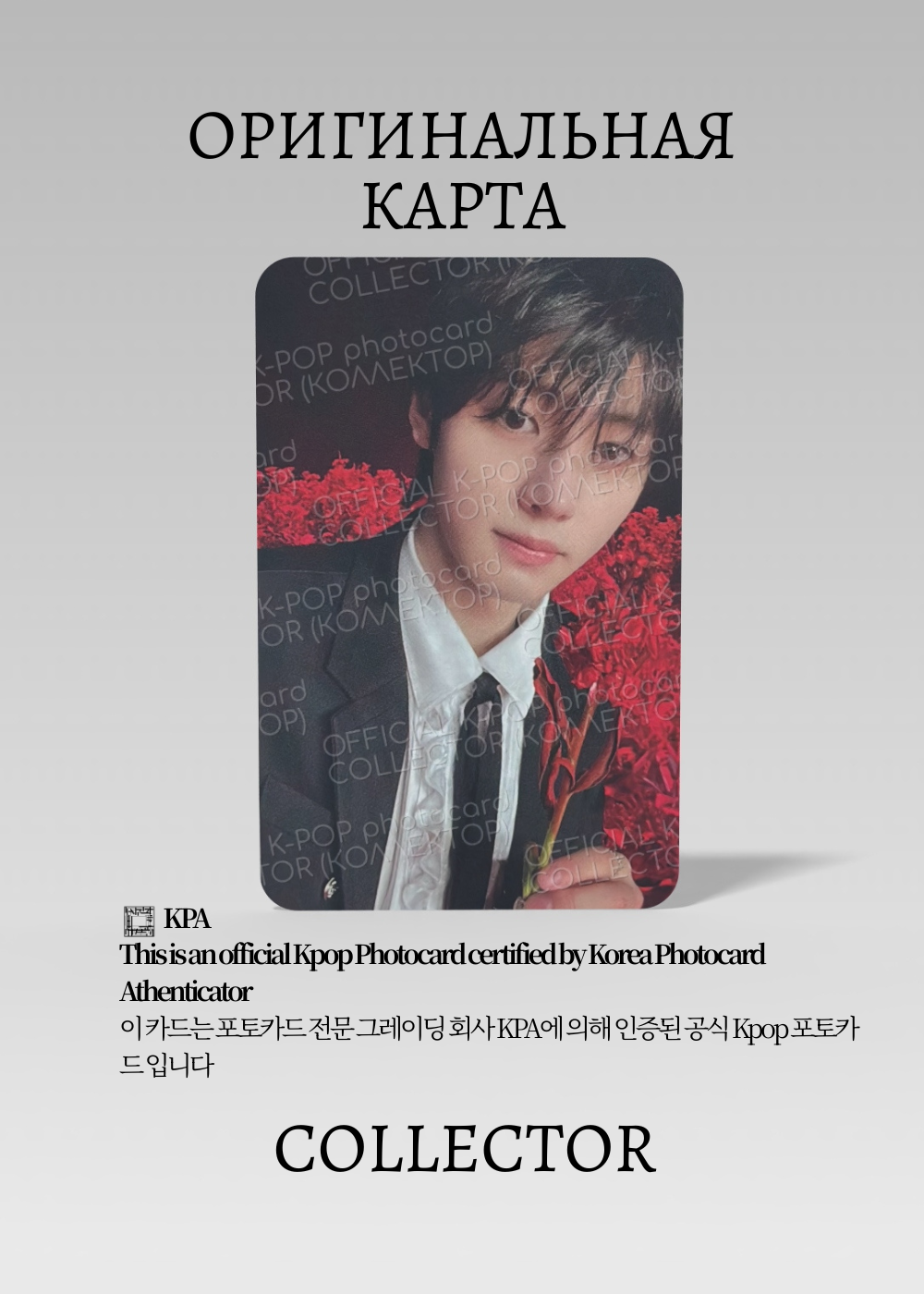 Сонхун ENHYPEN DARK BLOOD | Альбомная Официальная K-pop фотокарта (CA/EN/DB/NA/04)