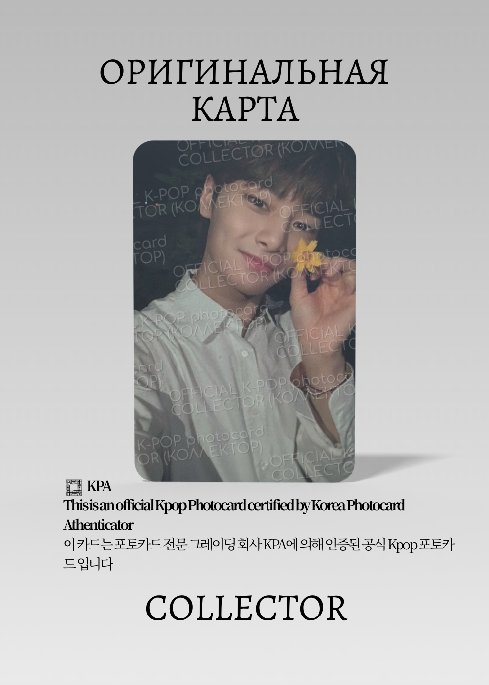 ОФИЦИАЛЬНАЯ K-pop карта Чонин SKZ NOEASY (Альбомная) (белый)