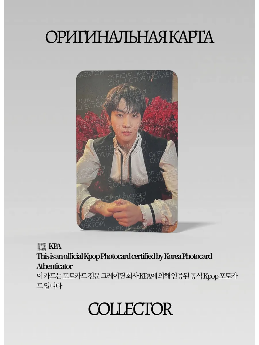 Чонвон ENHYPEN DARK BLOOD | Альбомная Официальная K-pop фотокарта (CA/EN/DB/NB/06)