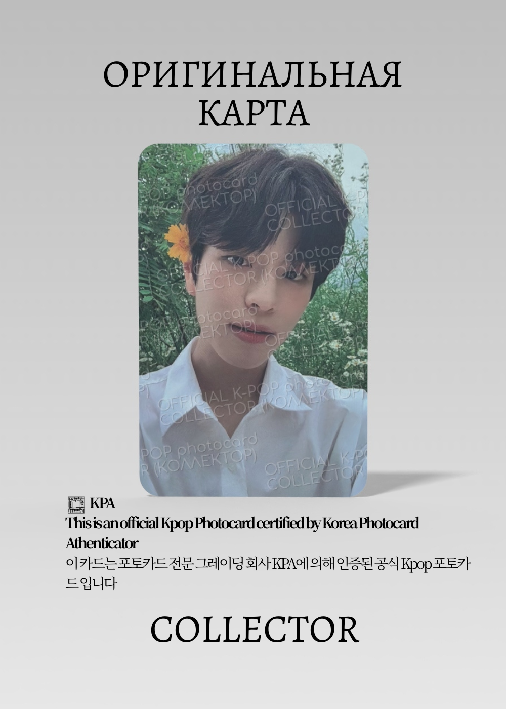 ОФИЦИАЛЬНАЯ K-pop карта Сынмин SKZ NOEASY (Альбомная) (белый)