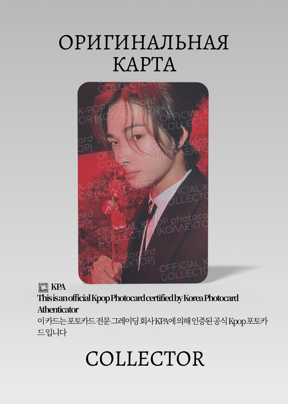 Ники ENHYPEN DARK BLOOD | Альбомная Официальная K-pop фотокарта (CA/EN/DB/NA/07)