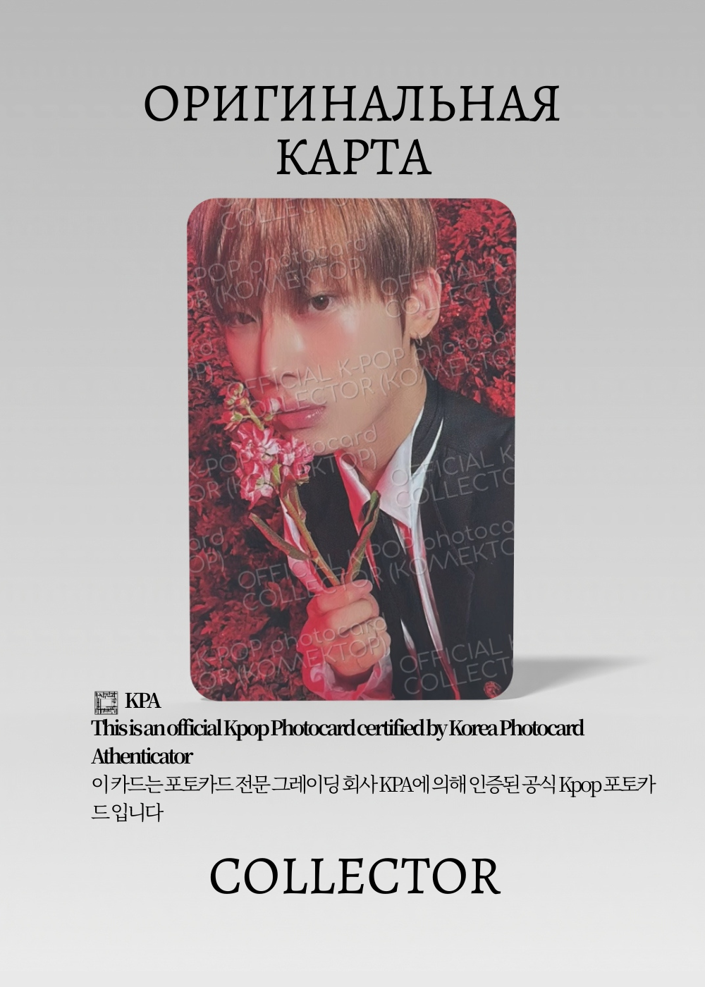Сону ENHYPEN DARK BLOOD | Альбомная Официальная K-pop фотокарта (CA/EN/DB/NA/05)