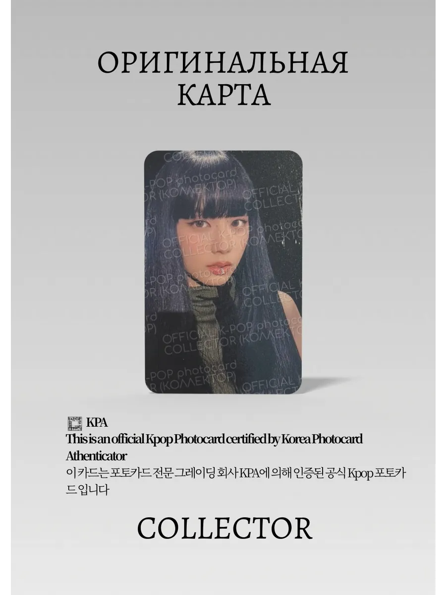 Джису  BLACKPINK BORN PINK | HOLDER Merch Официальная K-pop фотокарта (CF/BP/BP/HLD/01)