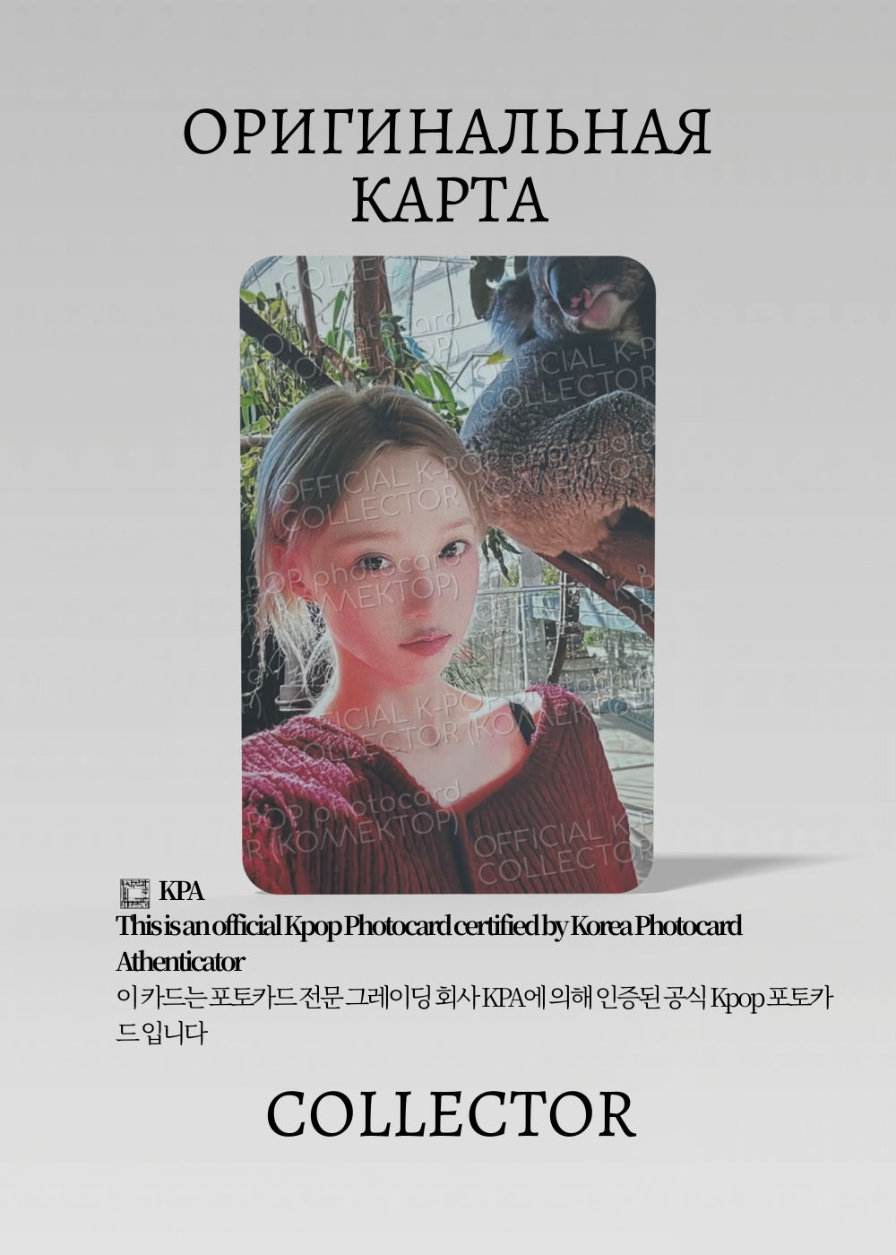 ОФИЦИАЛЬНАЯ K-pop карта Винтер из AESPA WHIPLASH (Ивентовая) (черный)