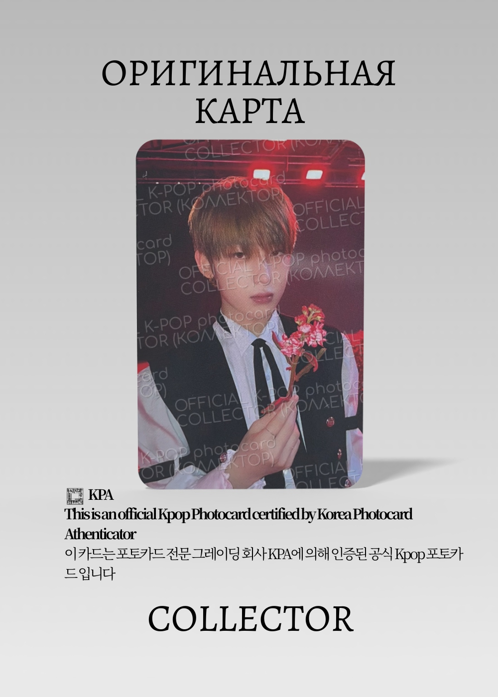 Сону ENHYPEN DARK BLOOD | Альбомная Официальная K-pop фотокарта (CA/EN/DB/NB/05)