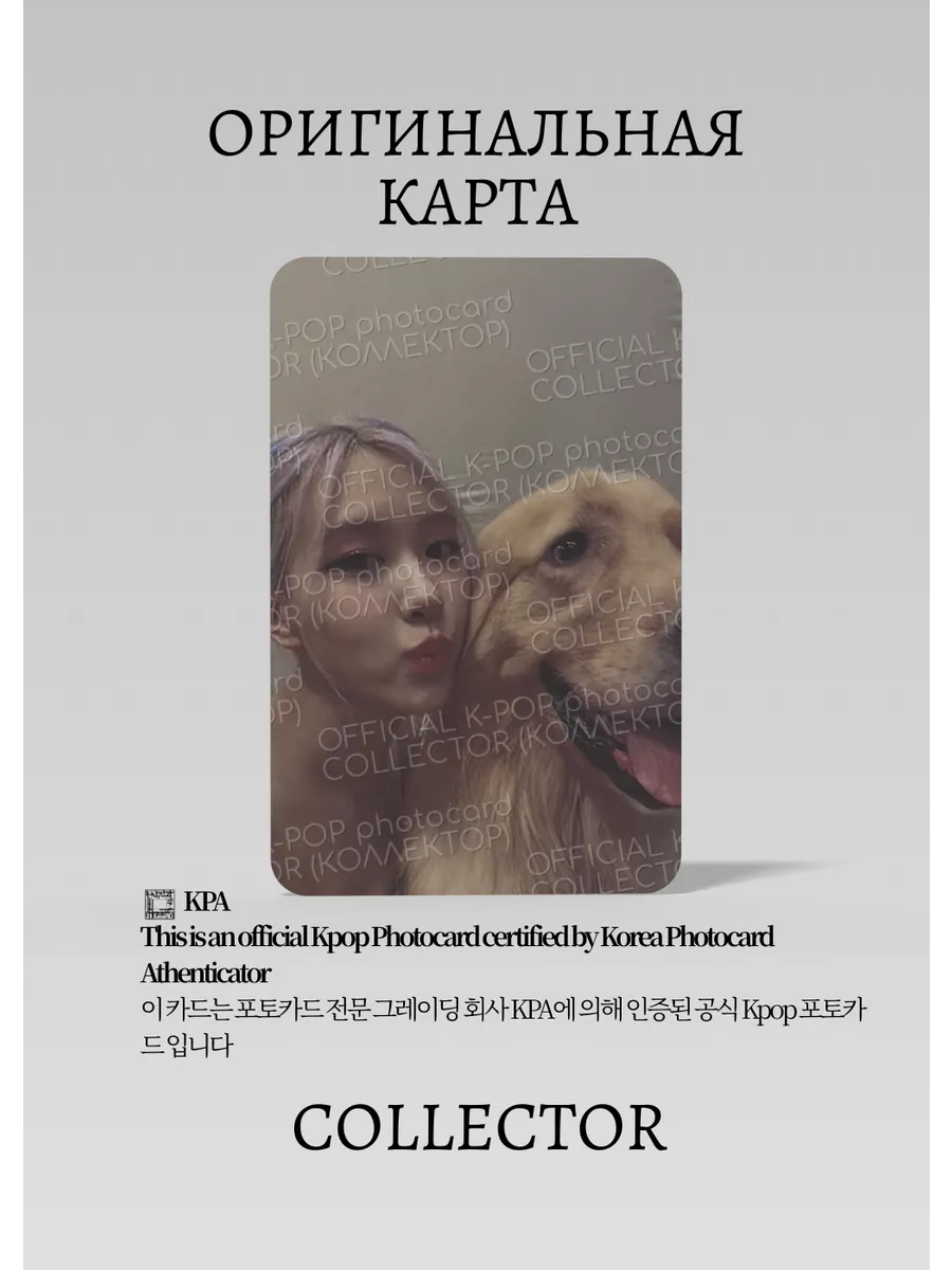 Розэ BLACKPINK THE ALBUM | KTOWN4U POB Официальная K-pop фотокарта (CB/BP/TA/3/K/03)
