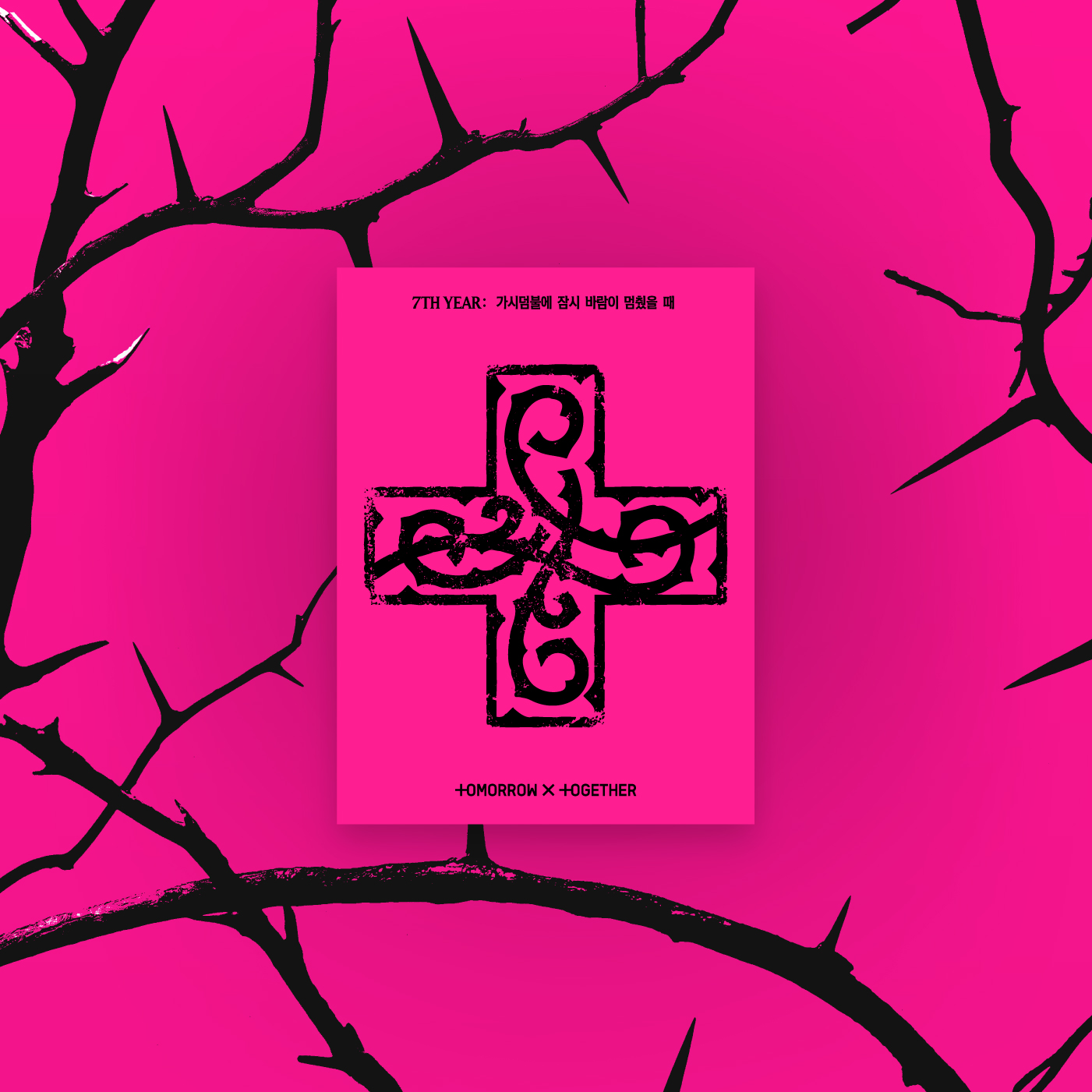 ОФИЦИАЛЬНЫЙ альбом TXT A MOMENT OF STILLNESS IN THE THORNS PPULBATU