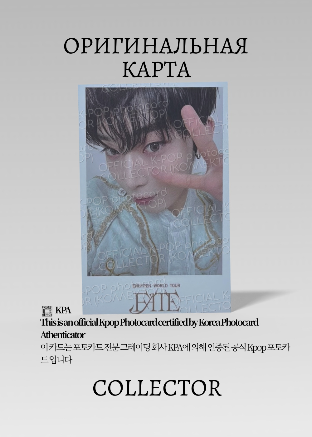 ОФИЦИАЛЬНАЯ K-pop карта Сону ENHYPEN FATE (Предзаказ) (черный)