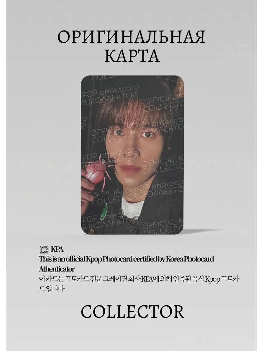 ОФИЦИАЛЬНАЯ K-pop карта Хендери WAYV GIVE ME (Альбомка) (черный)