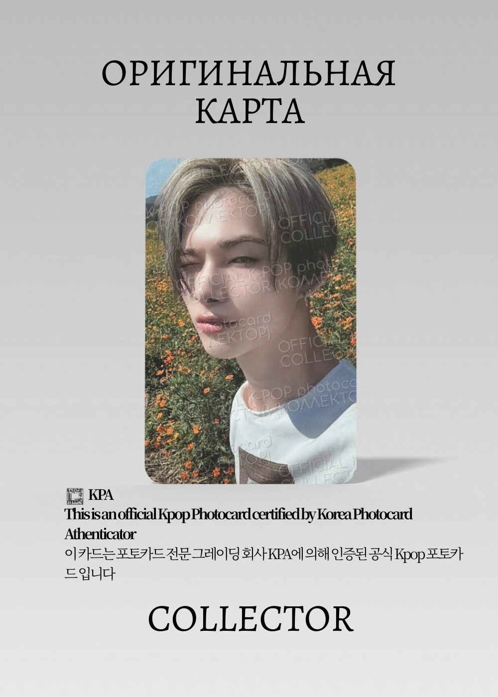 ОФИЦИАЛЬНАЯ K-pop карта Ники ENHYPEN ORANGE BLOOD (WEVERSE) (серый)