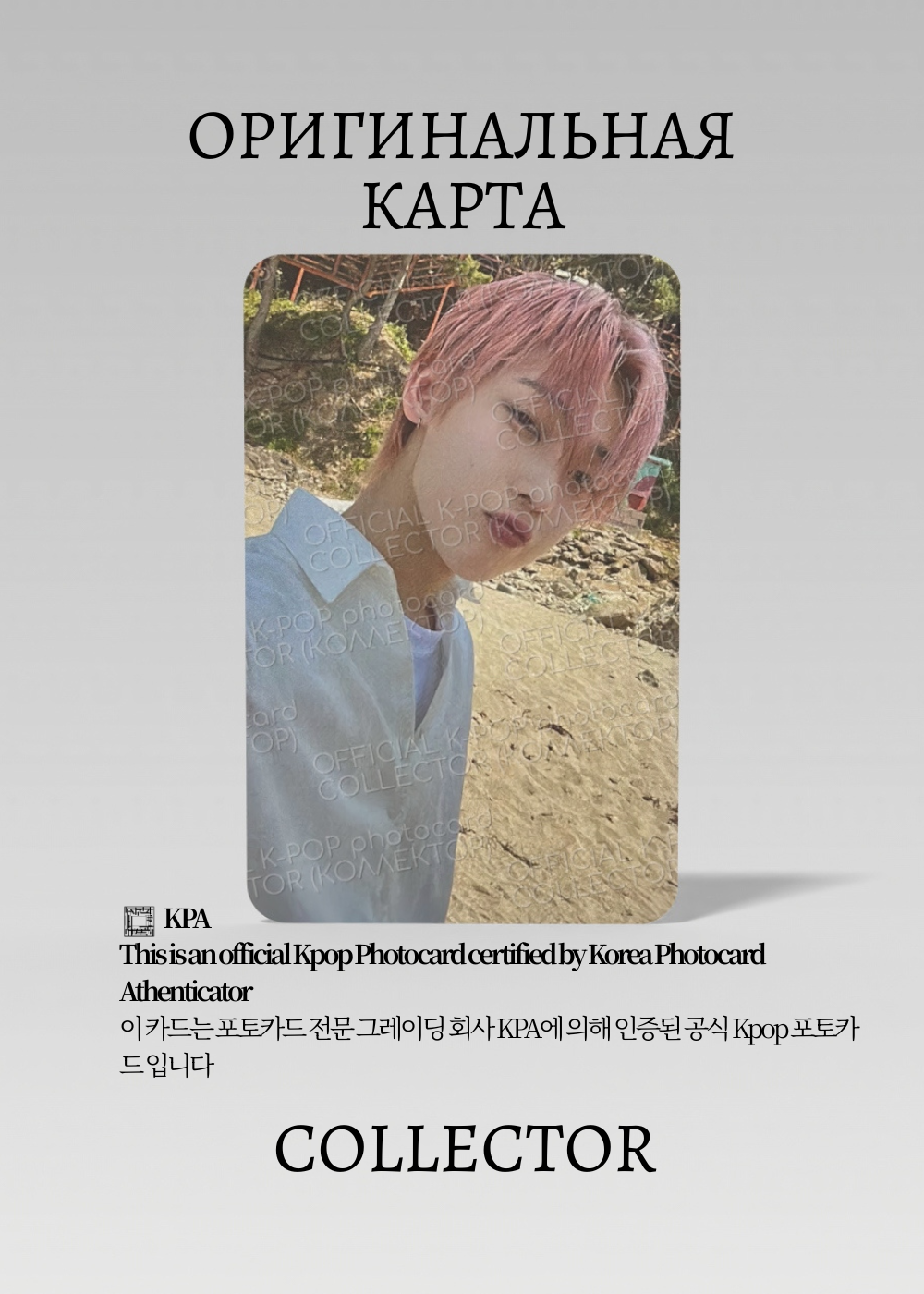 ОФИЦИАЛЬНАЯ K-pop карта Сону ENHYPEN DILEMMA (Альбмка) (белый)