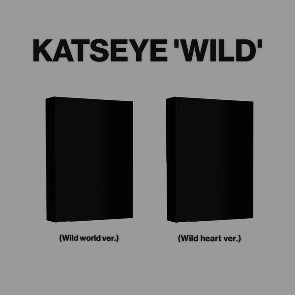 KATSEYE WILD Альбом | WORLD Ver. Официальный K-pop альбом