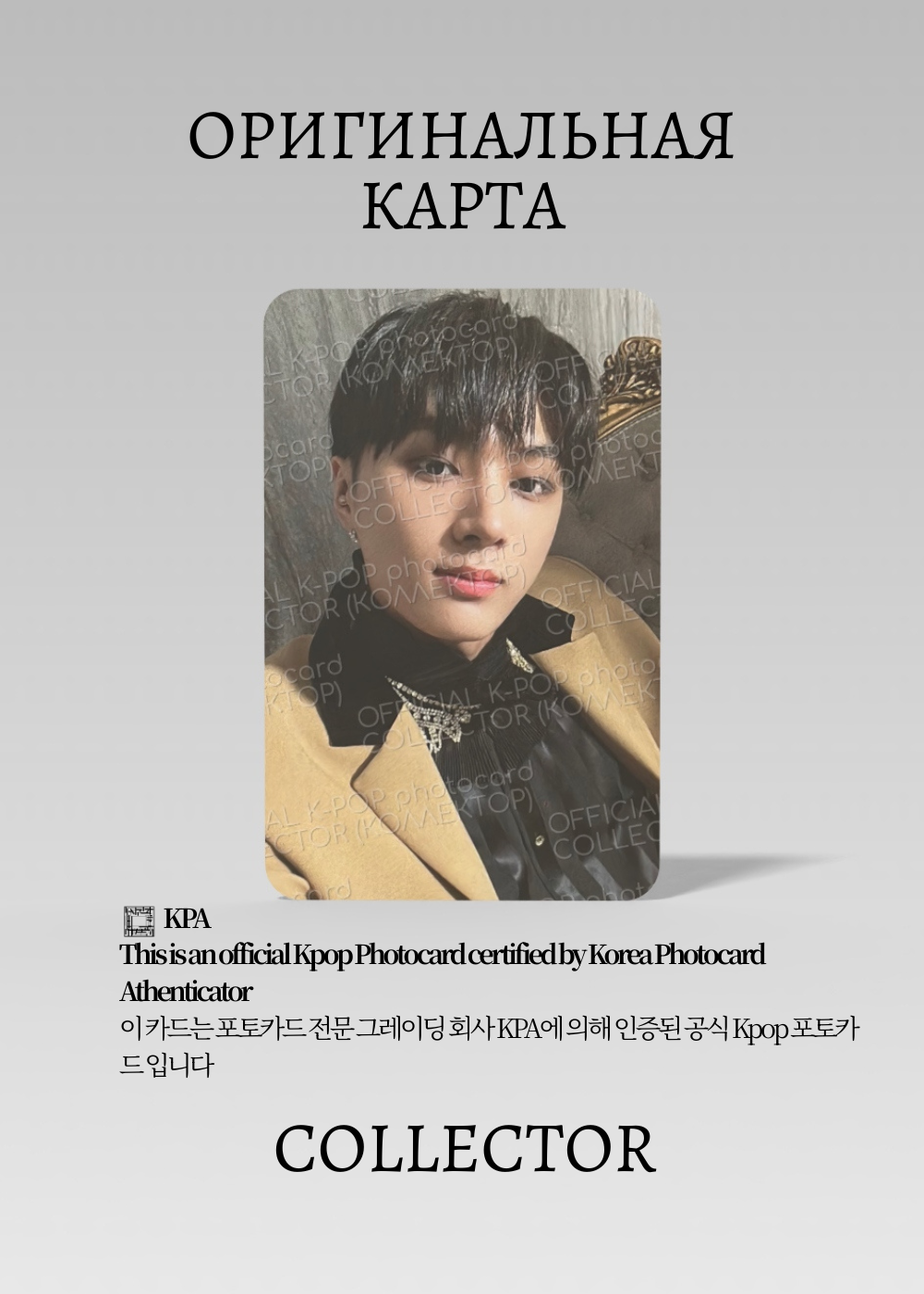 ОФИЦИАЛЬНАЯ K-pop карта Джея из ENHYPEN DILEMMA (Альбомка) (серый)
