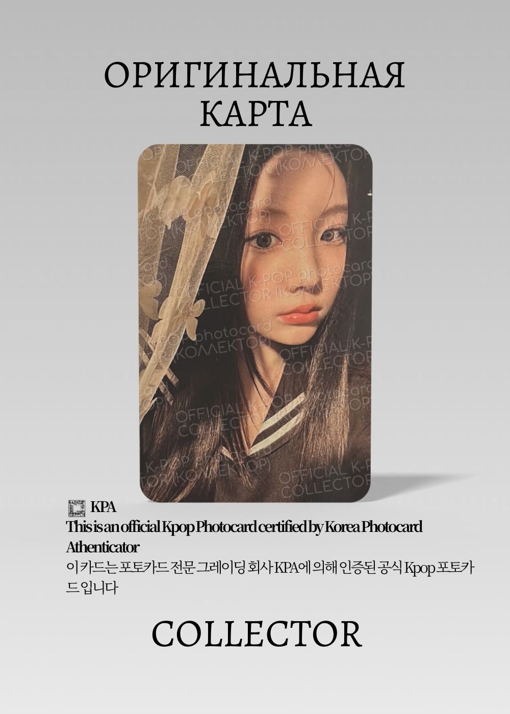 ОФИЦИАЛЬНАЯ K-pop карта Вонхи из ILLIT BOMB (Альбомка) (черный)