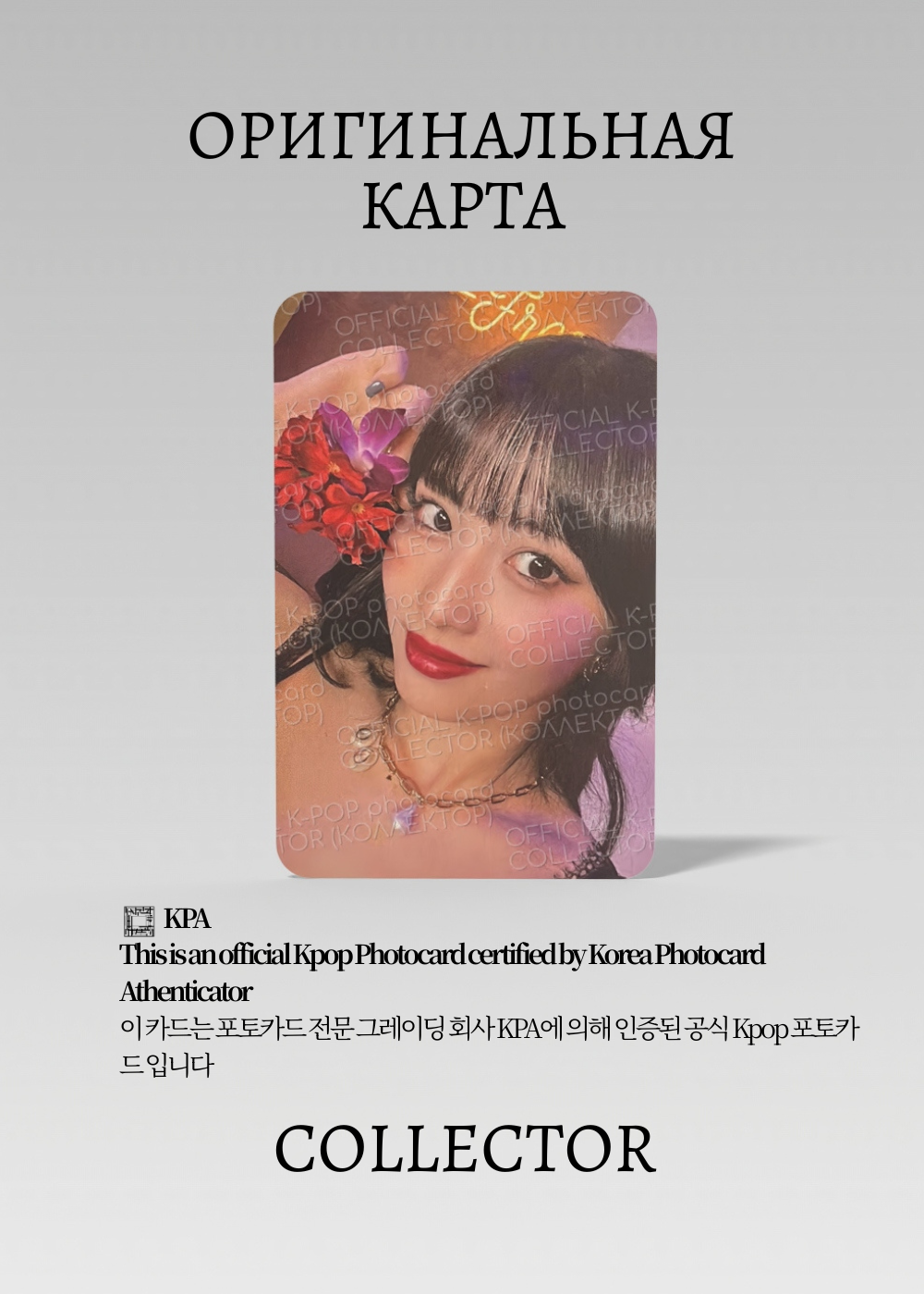 ОФИЦИАЛЬНАЯ K-pop карта Момо TWICE TASTE OF LOVE (Альбомная) (красный)