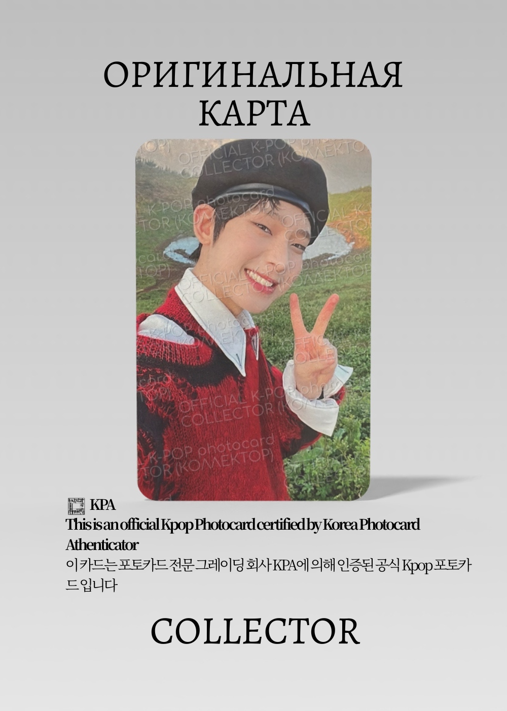 ОФИЦИАЛЬНАЯ K-pop карта Сону из ENHYPEN DAY ONE (Альбомка) (серый)