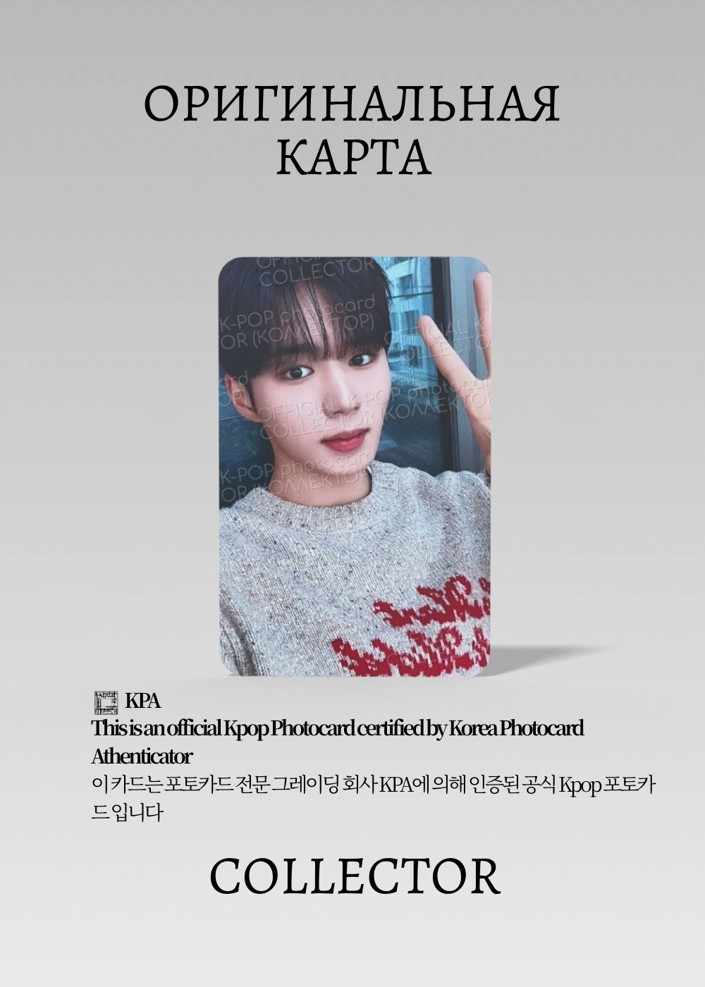 ОФИЦИАЛЬНАЯ K-pop карта ALPHA DRIVE ONE EUPHORIA (Ивент) (черный)