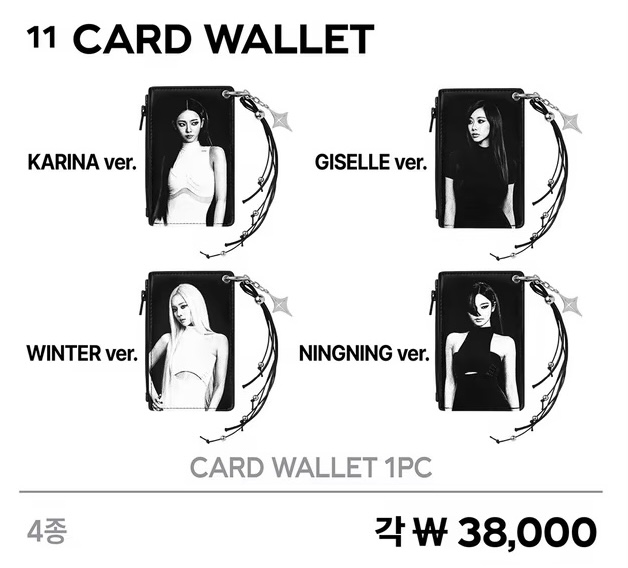 AESPA LIVE TOUR SYNK : COMPLæXITY Мерч | CARD WALLET Официальный K-pop мерч