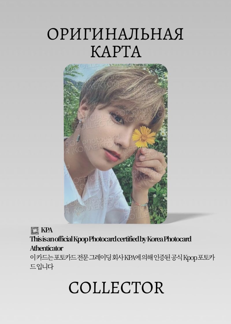 Хан STRAY KIDS NOEASY | LIMITED Альбомная Официальная K-pop фотокарта (CA/SKZ/NO/LI/05)