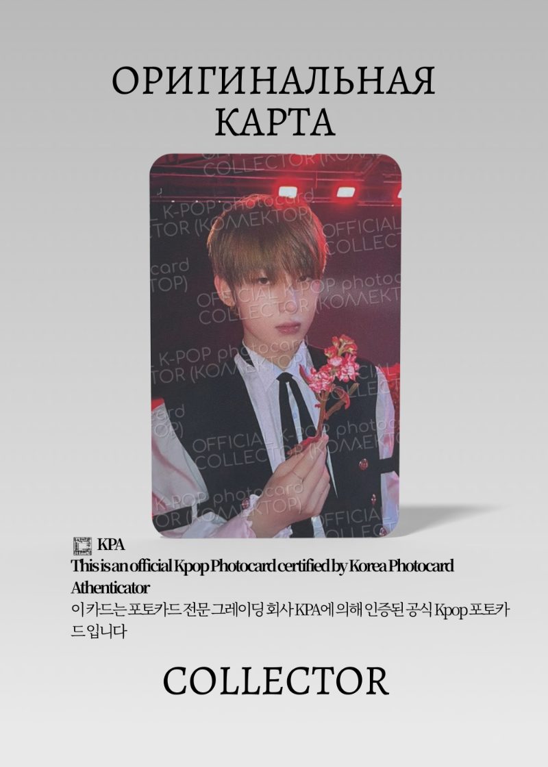 Сону ENHYPEN DARK BLOOD | Альбомная Официальная K-pop фотокарта (CA/EN/DB/NB/05)