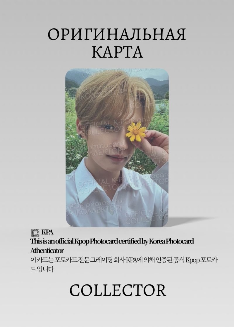 Минхо STRAY KIDS NOEASY |  LIMITED Альбомная Официальная K-pop фотокарта (CA/SKZ/NO/LI/02)