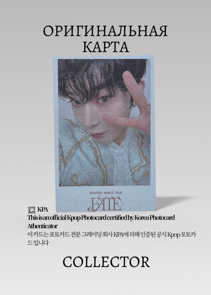 Сону ENHYPEN FATE | WEVERSE POB Официальная K-pop фотокарта (CB/EN/FA/IS/W/05)