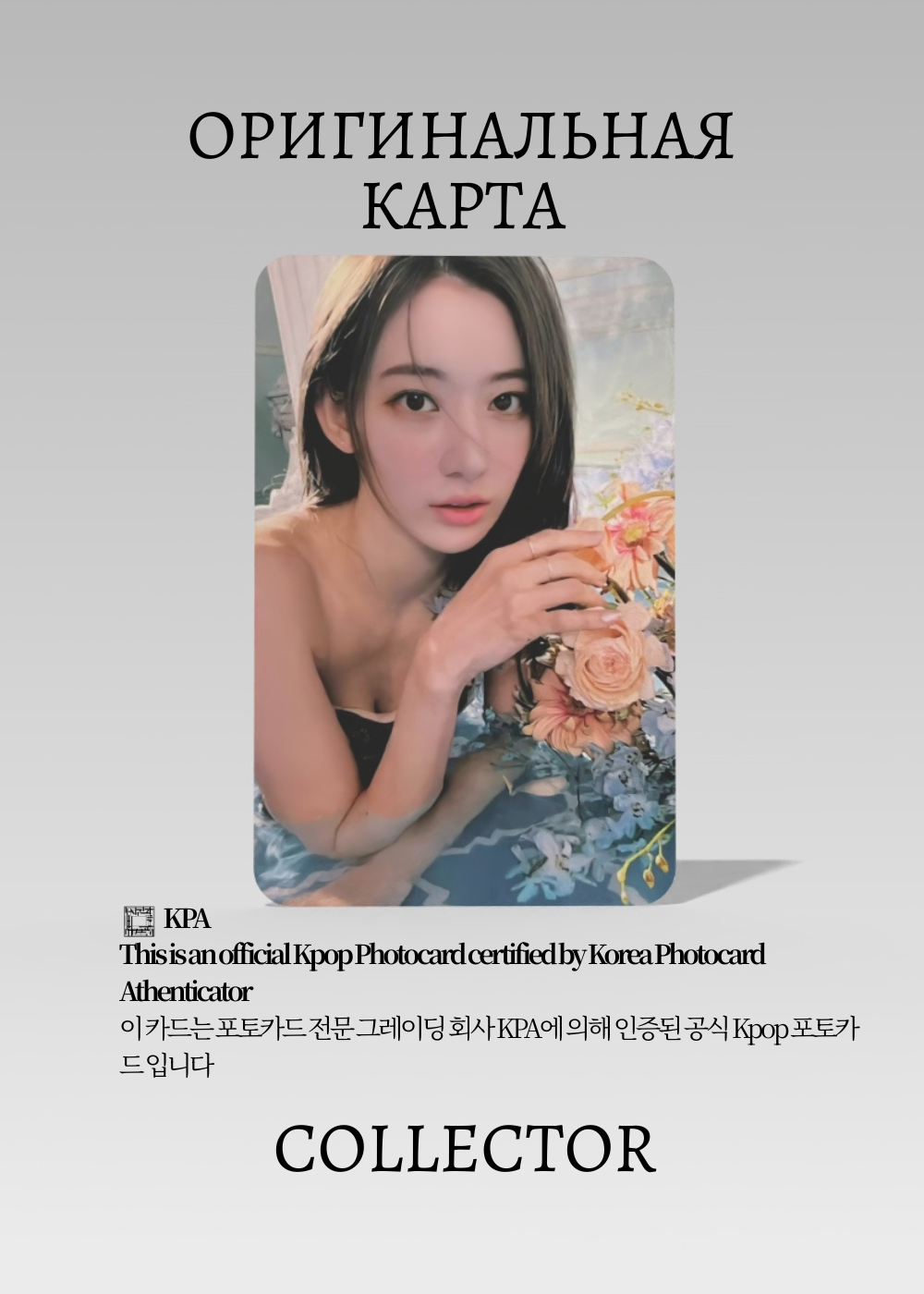Сакура LE SSERAFIM FEARLESS | Альбомная Официальная K-pop фотокарта (CA/LE/FE/V2/02)