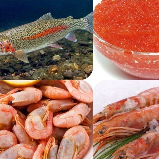 МОРЕПРОДУКТЫ