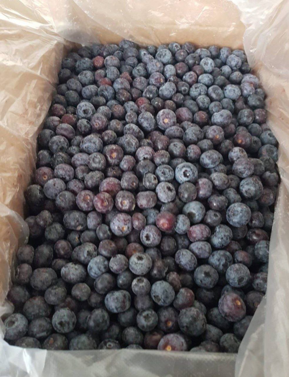 Голубика Садовая РП Беларусь  Фасовка  2,5 кг