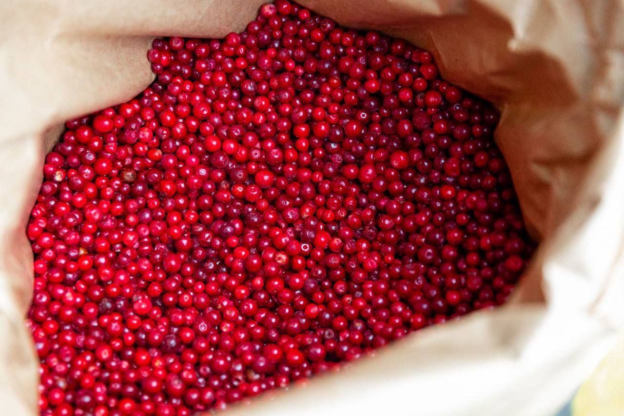 Ягоды Карелии   Ассорти 3 кг.  (Клюква,брусника,черника)  Расфасована в пакеты по 1 кг.