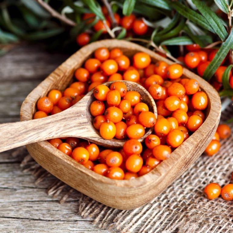 Облепиха садовая Фасовка 2,5 кг.