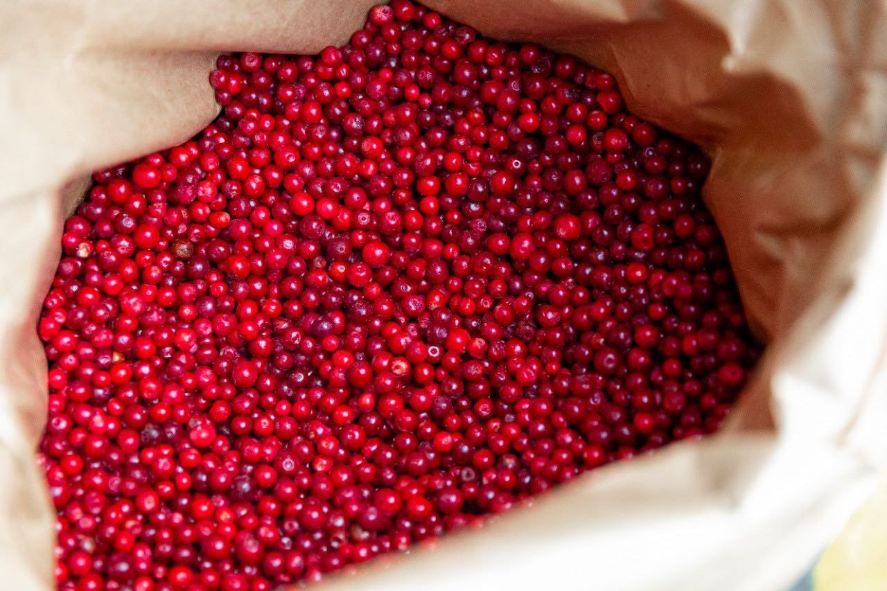 Брусника Фасовка 2,5 кг.