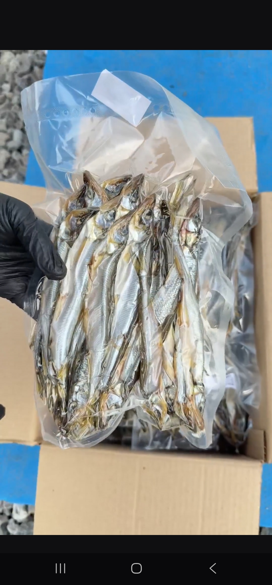 Корюшка выленная в вакуумной упаковке. Упаковка 500 гр. Цена за упаковку 1350 руб.