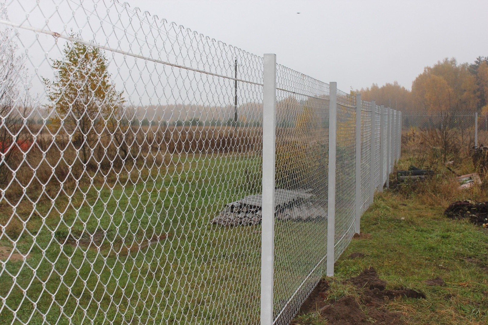 Забор из сетки рябицы, высота 1600мм
