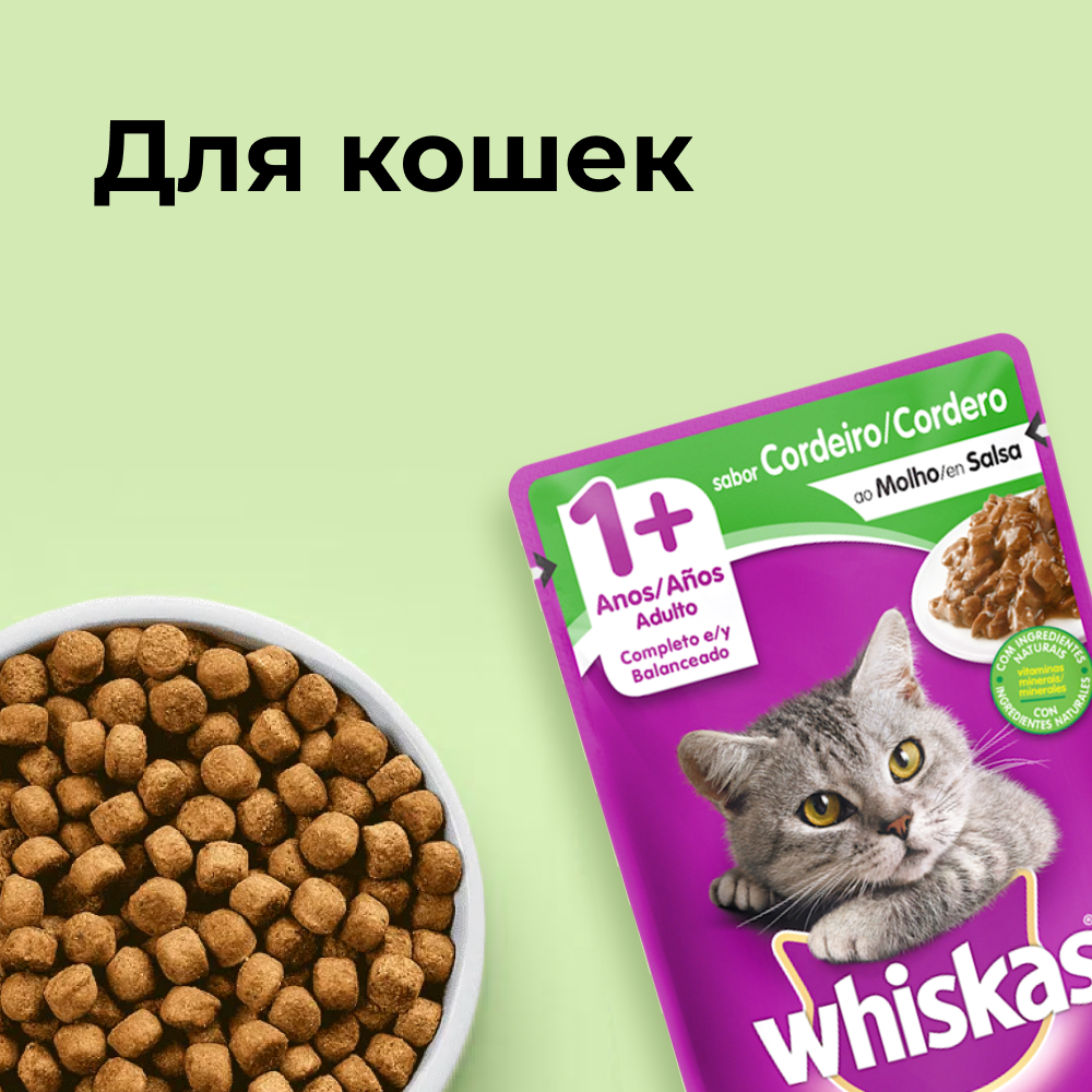 Для кошек