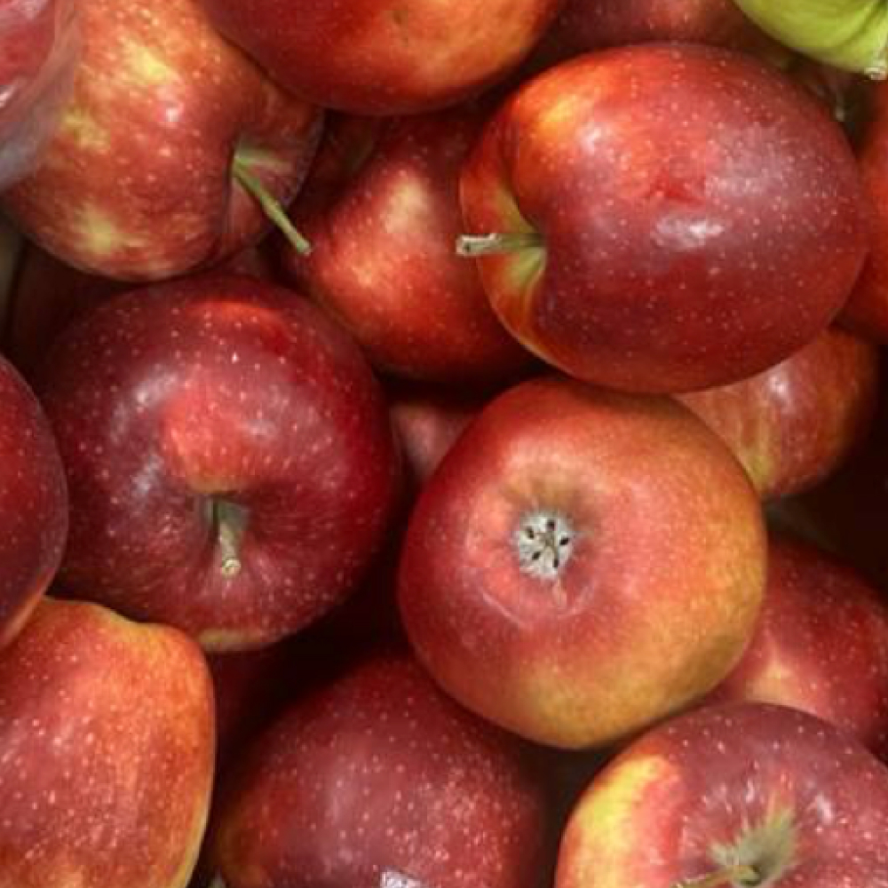 Яблоки Черный принц, 500-600 г